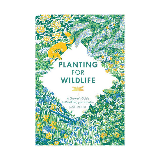 Planting for wildlife: a grower's guide to rewilding your garden