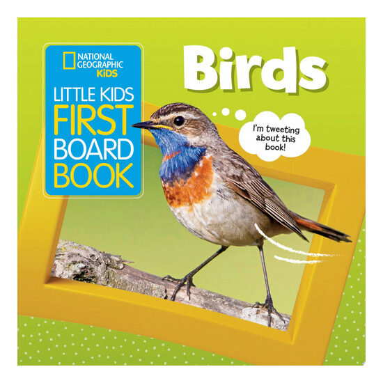 Birds