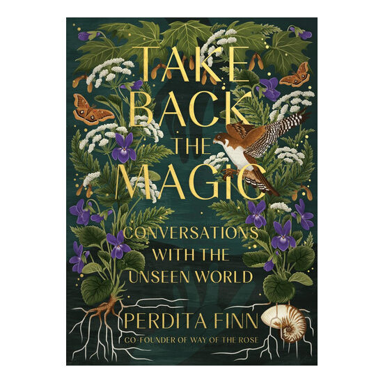 Take back the magic: conversations with the unseen world