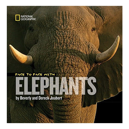 Face to face with elephants