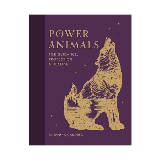 Power Animals: for guidance, protection and healing