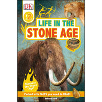 Life in the Stone Age