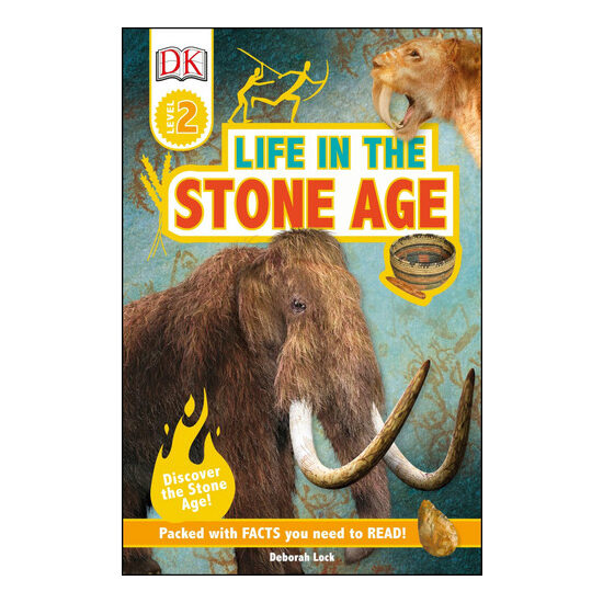 Life in the Stone Age