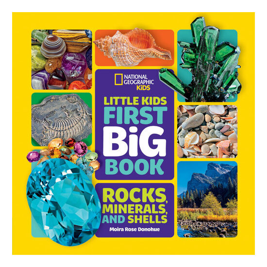 Little kids first big book: rocks, minerals, and shells