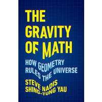 The gravity of math: how geometry rules the universe