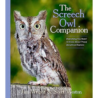 The screech owl companion