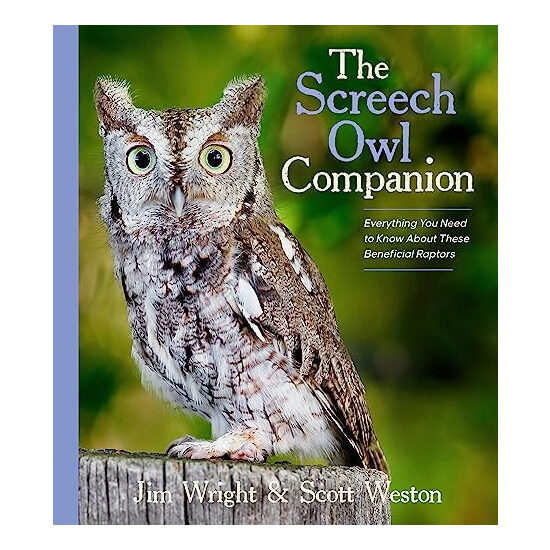 The screech owl companion
