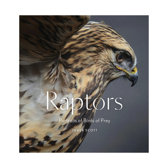 Raptors: portraits of birds of prey