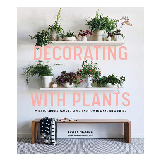 Decorating with plants: what to choose, ways to style, and how to make them thrive