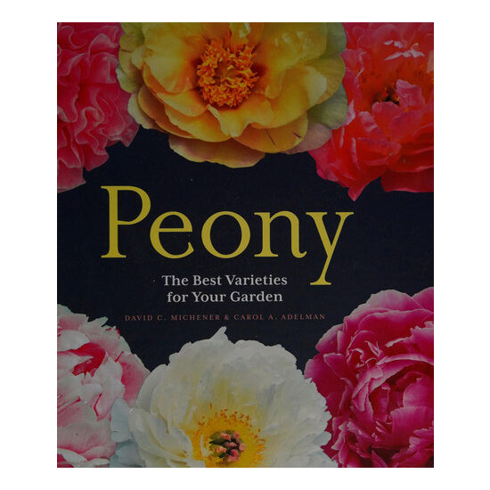 Peony: the best varieties for your garden