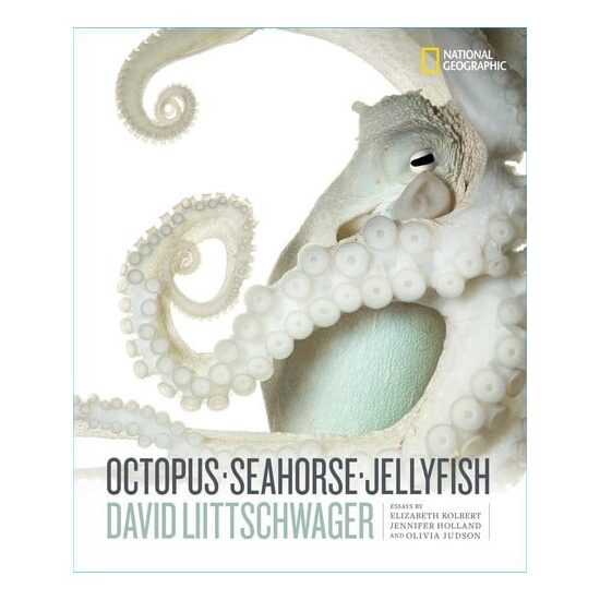 Octopus, seahorse, jellyfish