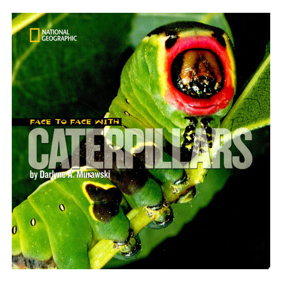 Face to face with caterpillars