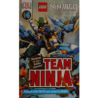 Team ninja