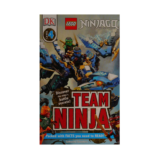 Team ninja