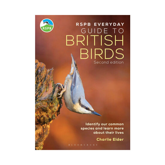 The RSPB everyday guide to British birds: identify our common species and learn more about their lives