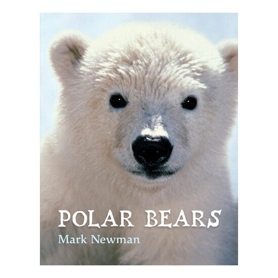 Polar bears