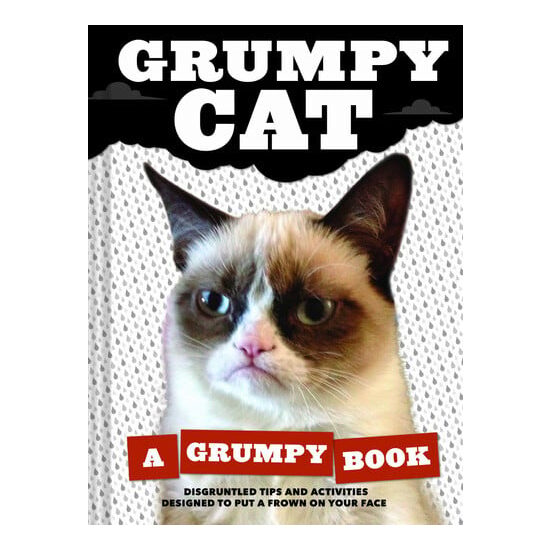 Grumpy cat: a grumpy book