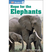 Hope for the elephants