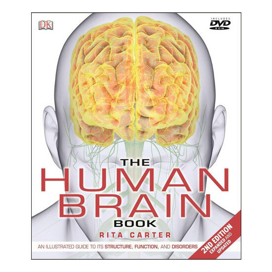 The human brain book