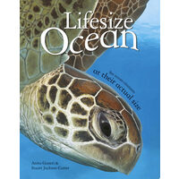 Lifesize: Ocean
