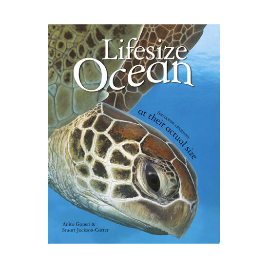 Lifesize: Ocean