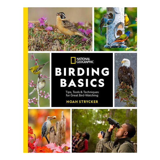 Birding basics: tips, tools & techniques for great bird-watching