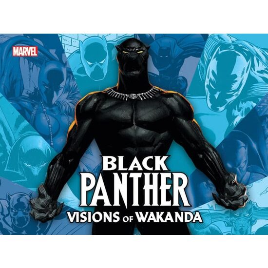 Visions of Wakanda
