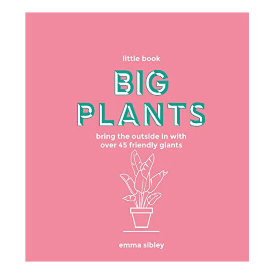 Big plants: bring the outside in with over 45 friendly giants