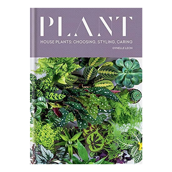 Plant: house plants : choosing, styling, caring