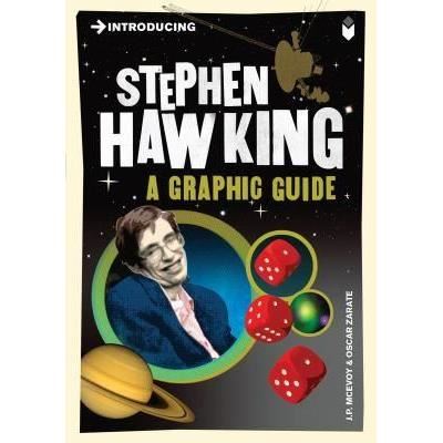 Introducing: Stephen Hawking (Graphic Guide) - Imagine 1