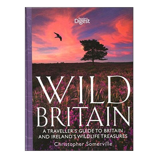 Wild Britain - Imagine 1