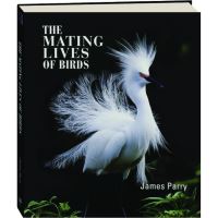 Mating lives of birds