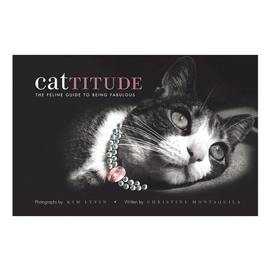 Cattitude: the feline guide to being fabulous