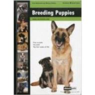 BREEDING PUPPIES 