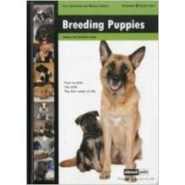 BREEDING PUPPIES - Imagine 1