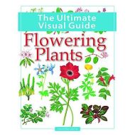 The Ultimate Visual Guide: Flowering Plants