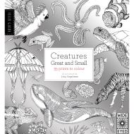 FIELD GUIDE: CREATURES GREAT & SMALL COLOURING