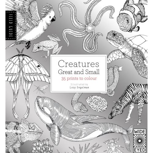 FIELD GUIDE: CREATURES GREAT & SMALL COLOURING
