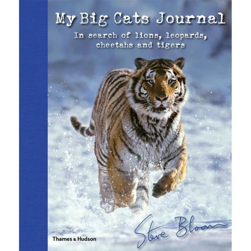 MY BIG CATS JOURNAL: IN SEARCH OF LIONS, LEOPARDS, CHEETAHS AND TIGERS