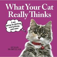 What your Cat Really Thinks