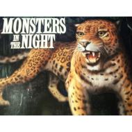 Monsters in the Night