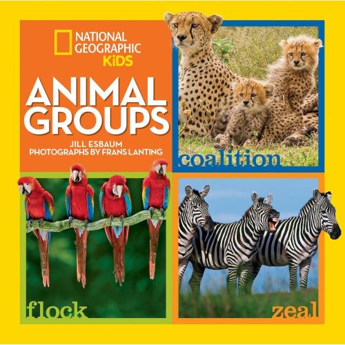 Animal Groups, Jill Esbaum