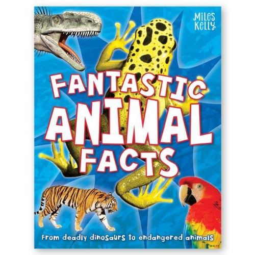 FANTASTIC ANIMAL FACTS - Imagine 1