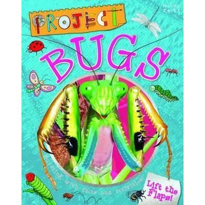 PROJECT BUGS - Imagine 1