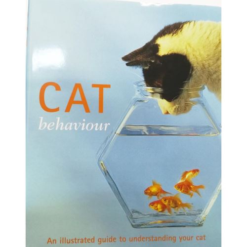 Cat Behaviour
