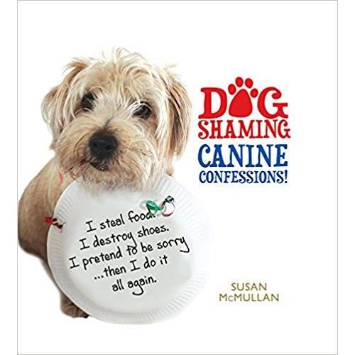 DOG SHAMING: CANINE CONFESSIONS! - Imagine 1