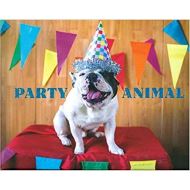 Party Animal (Dog) 