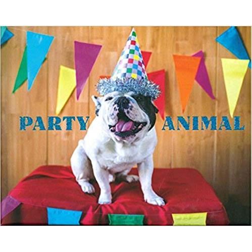 Party Animal (Dog) - Imagine 1