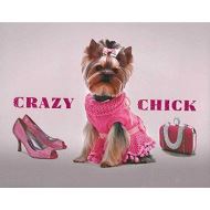 Crazy Chick (Dog) 