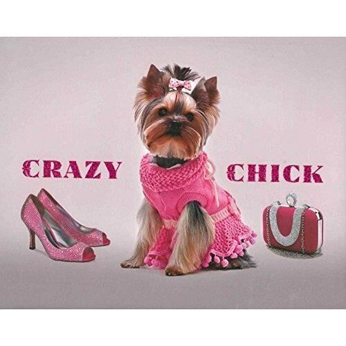 Crazy Chick (Dog) - Imagine 1